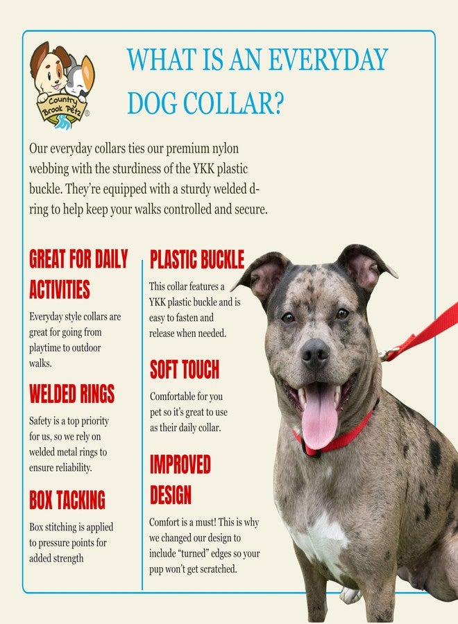 كانتري بروك ديزاين طوق نايلون يومي للكلاب الكبيرة والمتوسطة والصغيرة والجراء من Country Brook Petz - للاستخدام اليومي بأكثر من 10 ألوان دافئة (كبير، عرض 1 بوصة، أحمر ساطع) - Image 5